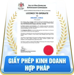 giấy phép hoạt động hợp pháp
